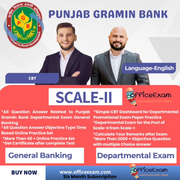 PUNJAB GRAMEEN BANK SCALE-II