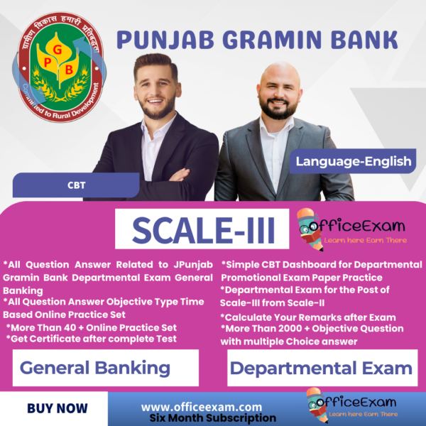 PUNJAB GRAMEEN BANK SCALE-III